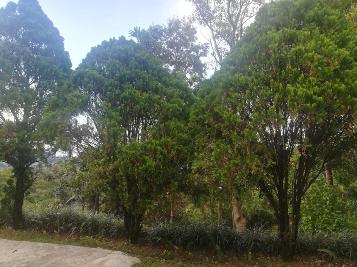 Mount Royal Hotel Kandy Ngoại thất bức ảnh